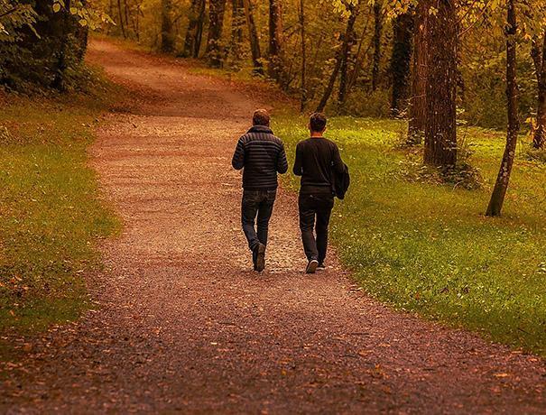 Walkers in the park