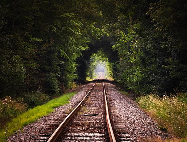 Railroad tracks through dense forest, photo by Free Photos on Pixabay